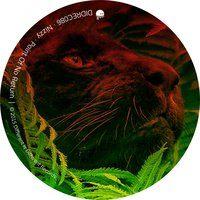 Point Of No Return - Nizzy & Sandro Galli
