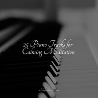 Heavenly Bowers - Classical Study Music & Easy Listening Music & Calming Piano