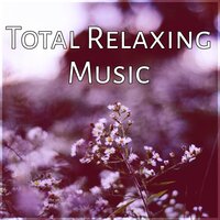 Zen Garden - Relaxing Music Zone