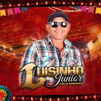 Fogo Sem Fuzil - Luisinho Junior