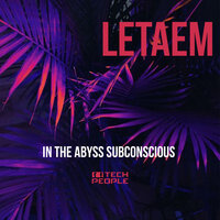 In The Abyss Subconscious - Letaem