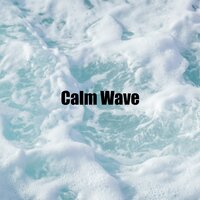 Seashore Soundscape - Calm Waves Water