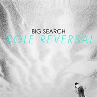 Role Reversal - Big Search