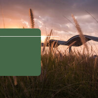 Background for Spring Rest - Office Background Music Playlists