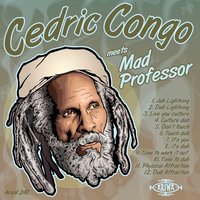 Time to Dub - Mad Professor & Cedric Congo