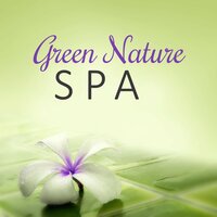 Sea Brezze (massage Music) - Serenity Spa Music Zone