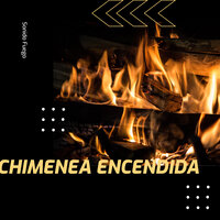 Chimenea y TV - Prince Sereno & Sonidos de fuego & El Ruido Blanco