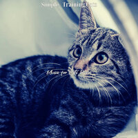 Atmospheric (Cats) - Music for Cats Prime