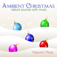Hark the Ocean Waves - Nature's Music