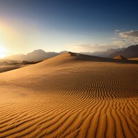 Armonía De Luz Que Fluye - Ecos de la Tierra & Avenida fría & JBE Sonidos de la Naturaleza
