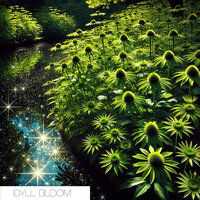Bloom - IDYLL