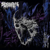 Thresholds Beyond - Spectral Voice