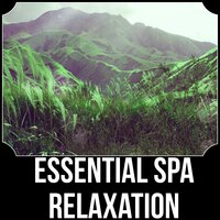 Restful Sleep (New Age Piano) - Oasis of Relaxation