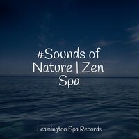 Ocean Waves - Deep Sleep Brown Noise & Best Kids Songs & Sleep Meditation Dream Catcher