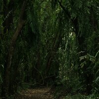 Completely Relaxed - Internal Yoga & Oasis of Meditation & Easy Sleep Music