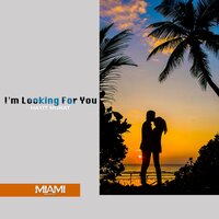 I'm Looking for You - Hayit Murat