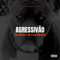 Agressivão Me Chama de Cachorrão - DJ Silvério & MC Toy & MC Gw & DJ GUH BEAT 013