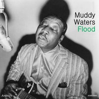 Please Have Mercy - Muddy Waters