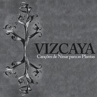 Antúrios - Vizcaya