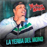 Devolve la Bolsa - Yerba Brava