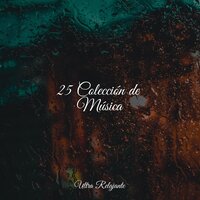 Arenas Movedizas - Relajante Musica & Naturaleza & Meditação Yoga