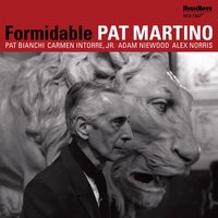 In a Sentimental Mood - Pat Martino