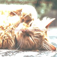 Моменты (Кошки) - Вальяжный Музыка для кошек