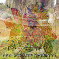 Целебный ветер - Meditation Zen Master