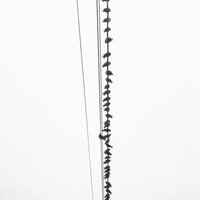 You - H.1
