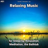 Relaxing Music Pt. 29 - Calm music & Relaxing music & Yoga