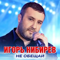 А я не смог уйти - Игорь Кибирев
