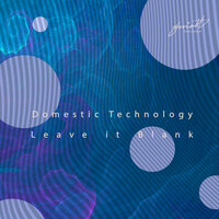 Leave It Blank - Domestic Technology