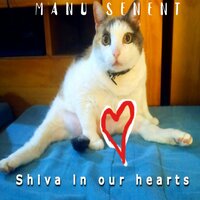 Shiva in Our Hearts - Manu Senent