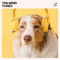 Fetch Frenzy - Dog Music Dreams & Chill My Pooch & Dog and Cat Music & Pet Music Zone