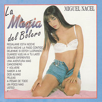 Usted - Miguel Nacel