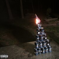 INDIGO LEAGUE - THE TRAUMSTER