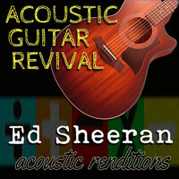 I Don't Care - Acoustic Guitar Revival