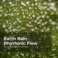 Earthy Rain Symphony - ASMR Rain Sounds & Rain Sounds Nature Collection & Sleepy Rain