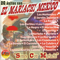 Las Copetonas - El Mariachi Mexico