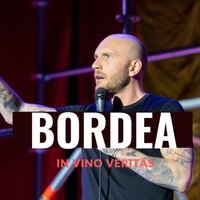 Acasa E in Botasani - Bordea