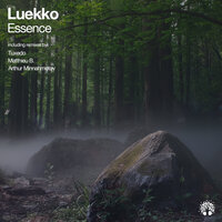Essence - Luekko & Arthur Minnahmetov