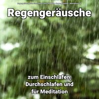 Regengeräusche - Regengeräusche zum Einschlafen Franco Rodewig & Regengeräusche & Naturgeräusche