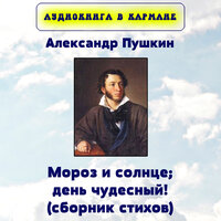 Остроумные эпиграммы - Аудиокнига в кармане