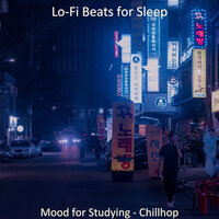 Moment for Study Time - Lo-fi Beats for Sleep