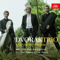 Piano Trio No. 4 in G Minor, Op. 90, B. 166 "Dumky": VI. Lento maestoso - Dvořák Trio & Антонин Дворжак