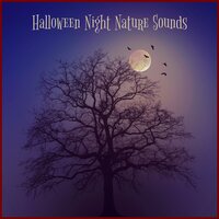 Sounds in the Night - Halloween Music & Halloween All-Stars & Kid's Halloween Music