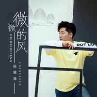 微微的风 - 陈雅森