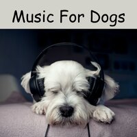 Best Music For Dogs - Music for Dogs & Music for Dogs Peace & Relaxing Puppy Music & Calm Pets Music Academy