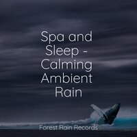 Soothing River - Zona Música Relaxante & Sleep Rain & Namaste Healing Yoga