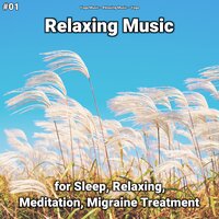 Peaceful Music - Yoga Music & Relaxing music & Yoga